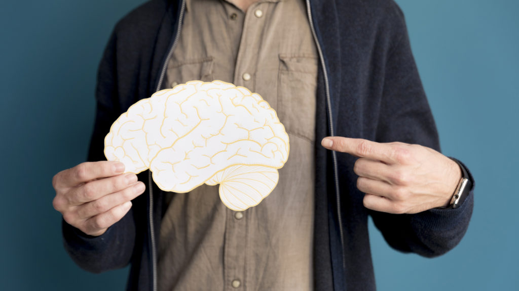 Dia mundial del cerebro